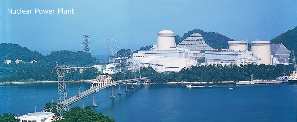 NuClear Power Plant